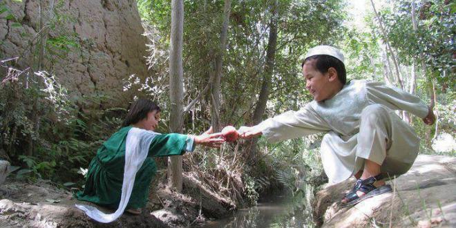 Research Spotlight: Impact of Language Barriers on Education Outcomes